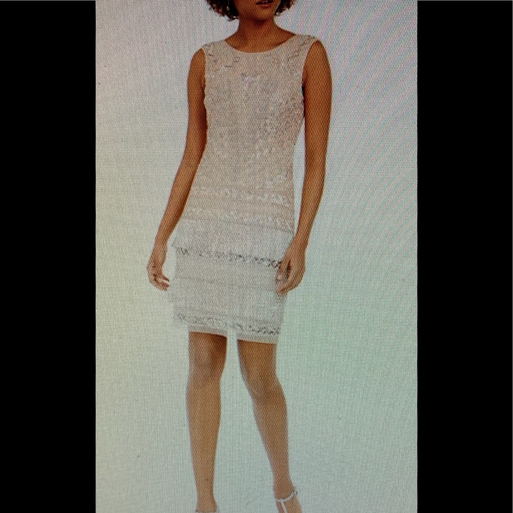 Adrianna Papell Beaded Fringe Cocktail Dress